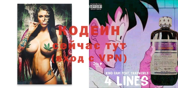 таблы Няндома