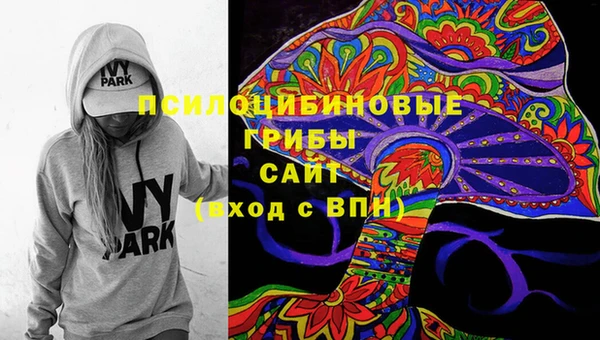 ешки Новодвинск