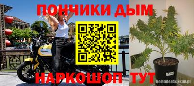 ПСИЛОЦИБИНОВЫЕ ГРИБЫ Балахна