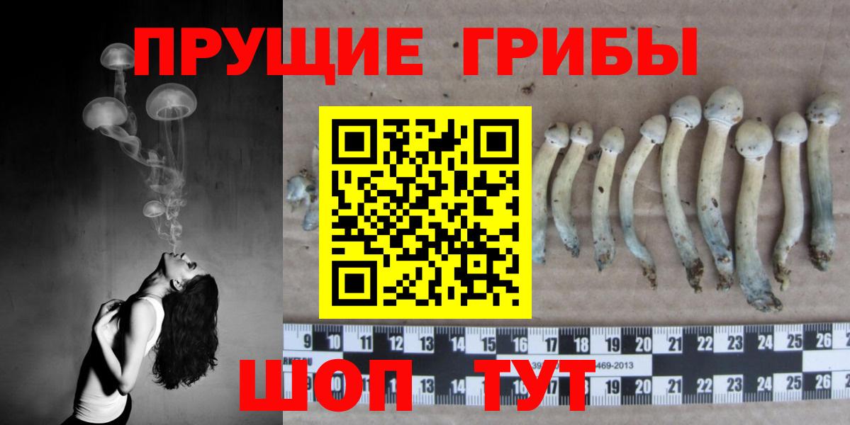 Галлюциногенные грибы мицелий Каменка
