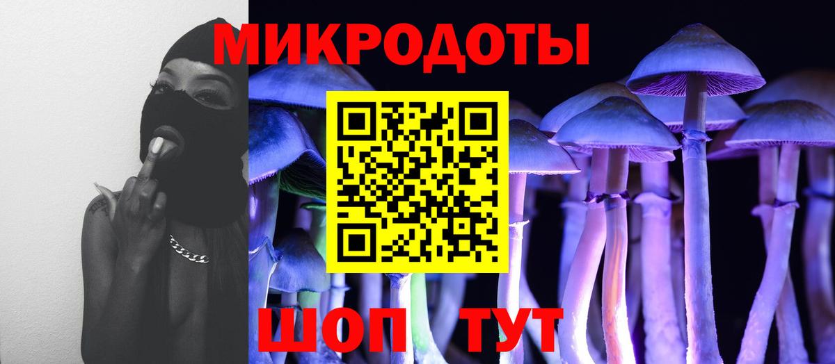 Псилоцибиновые грибы Cubensis  магазин    Псилоцибиновые грибы Cubensis  Каменка 