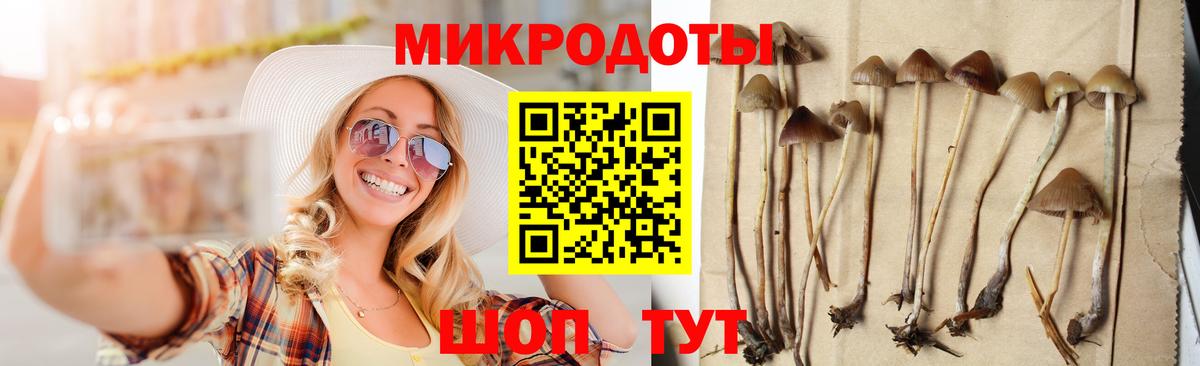 Каменка  закладки  Вход с VPN  Псилоцибиновые грибы мухоморы 